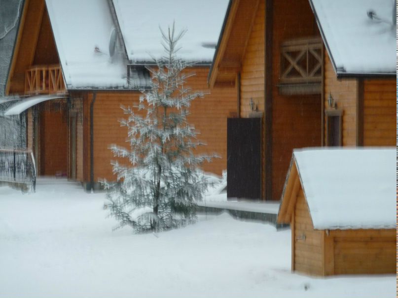 Женя Березовский | Киев