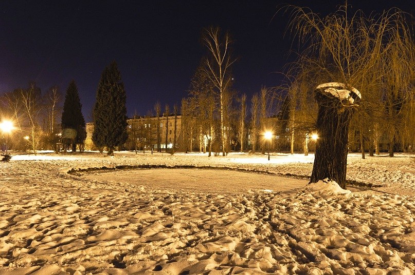 Роман Фігурка ✈̲ | Львов