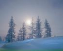 Фотография Александр Новоторженцев