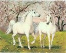 Фотография Аня Андреева