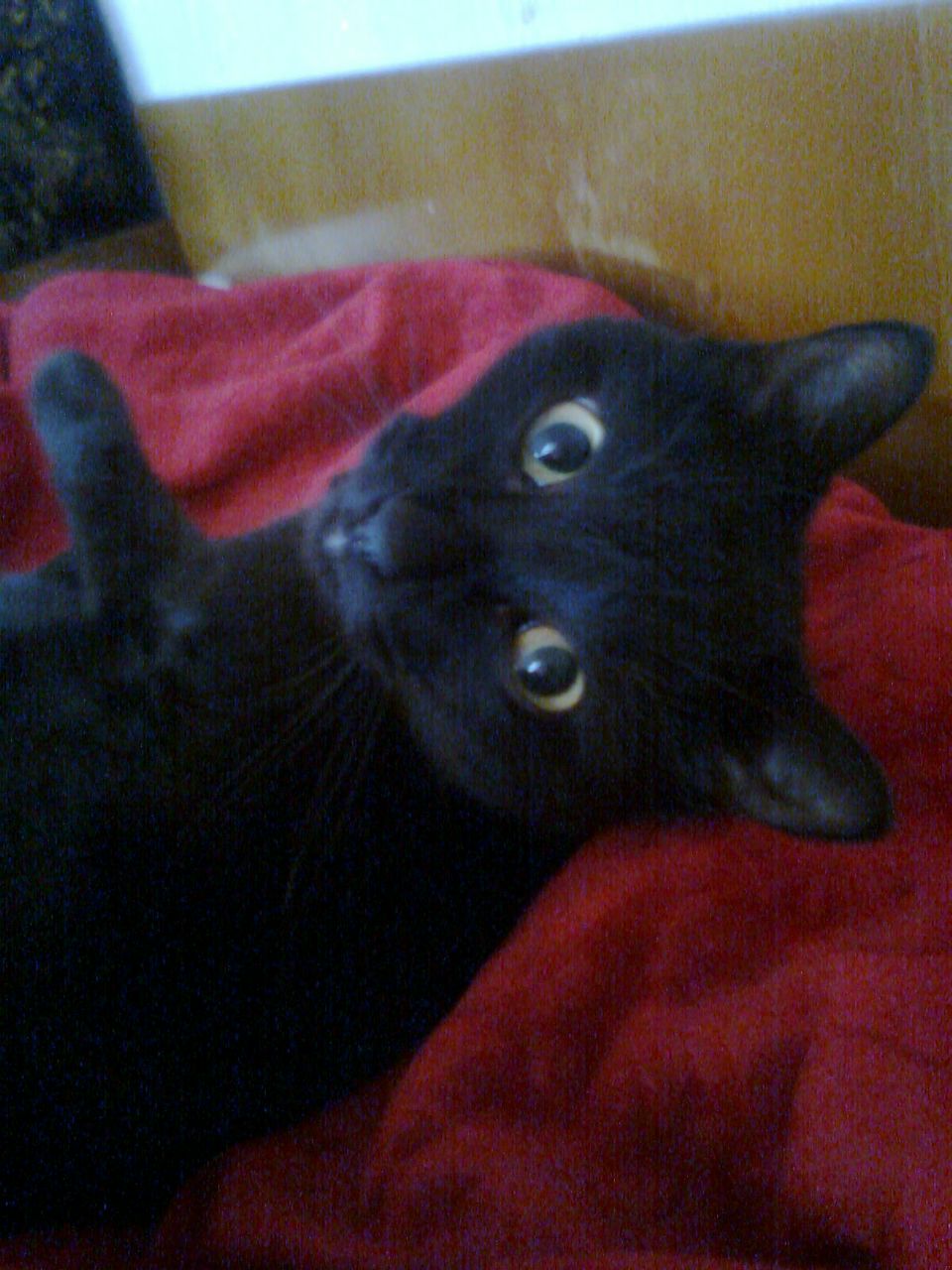 Александра Зянчурина | Пермь