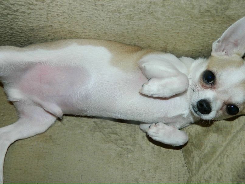 Дашка Смирнова | Минск