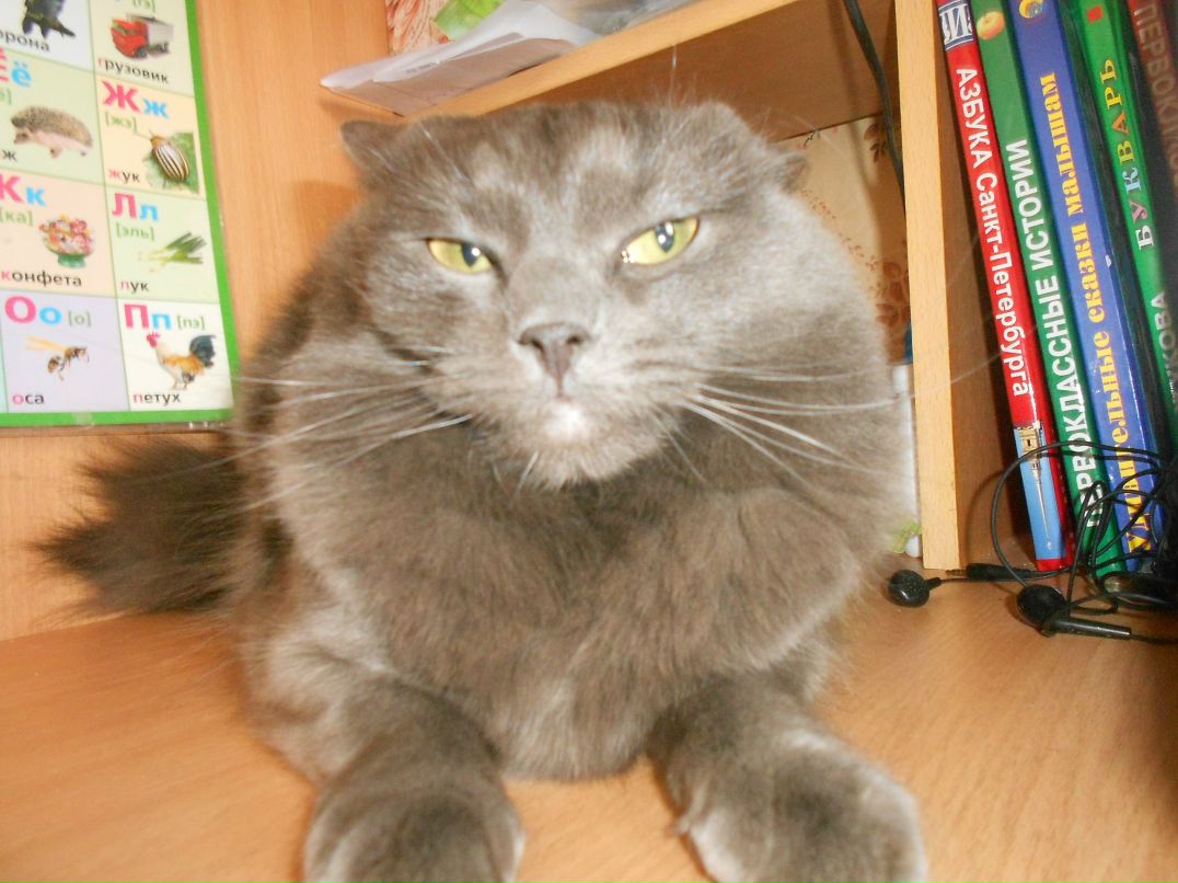 Маша Мак | Санкт-Петербург