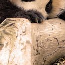 №131, Алина Деревянко, Харьков №131, Алина Деревянко, Харьков