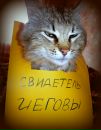 №20 Ксюша Вишнякова 22.03.1990: профиль, фото, статус - ВКонтакте №20 Ксюша Вишнякова 22.03.1990: профиль, фото, статус - ВКонтакте