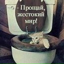 №1 Кристина Бахтина 20.11.1998: профиль, фото, статус - ВКонтакте №1 Кристина Бахтина 20.11.1998: профиль, фото, статус - ВКонтакте