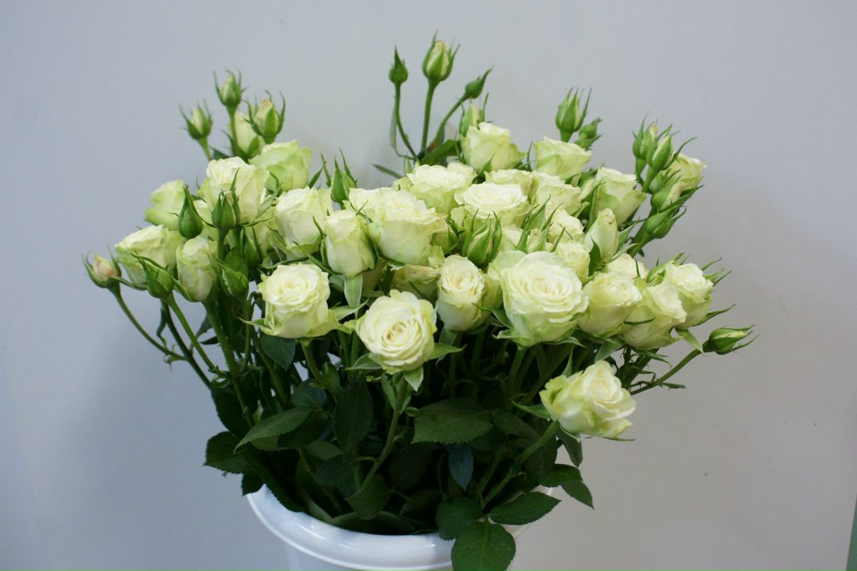 Оксана Башинская | Северодвинск