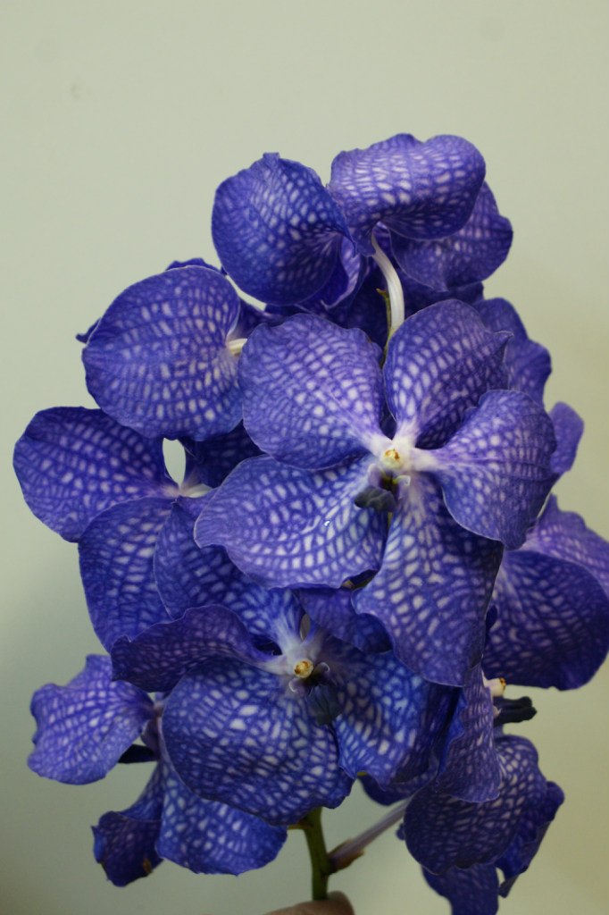 Оксана Башинская | Северодвинск