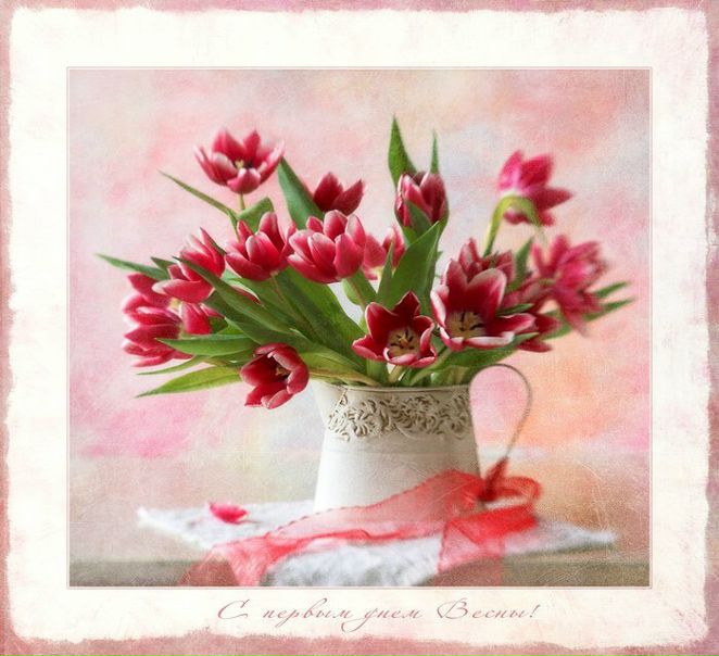 №5, Ирина Беседина, 37 лет, Донецк №5, Ирина Беседина, 37 лет, Донецк