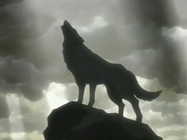 Vadim Wolf | Винница