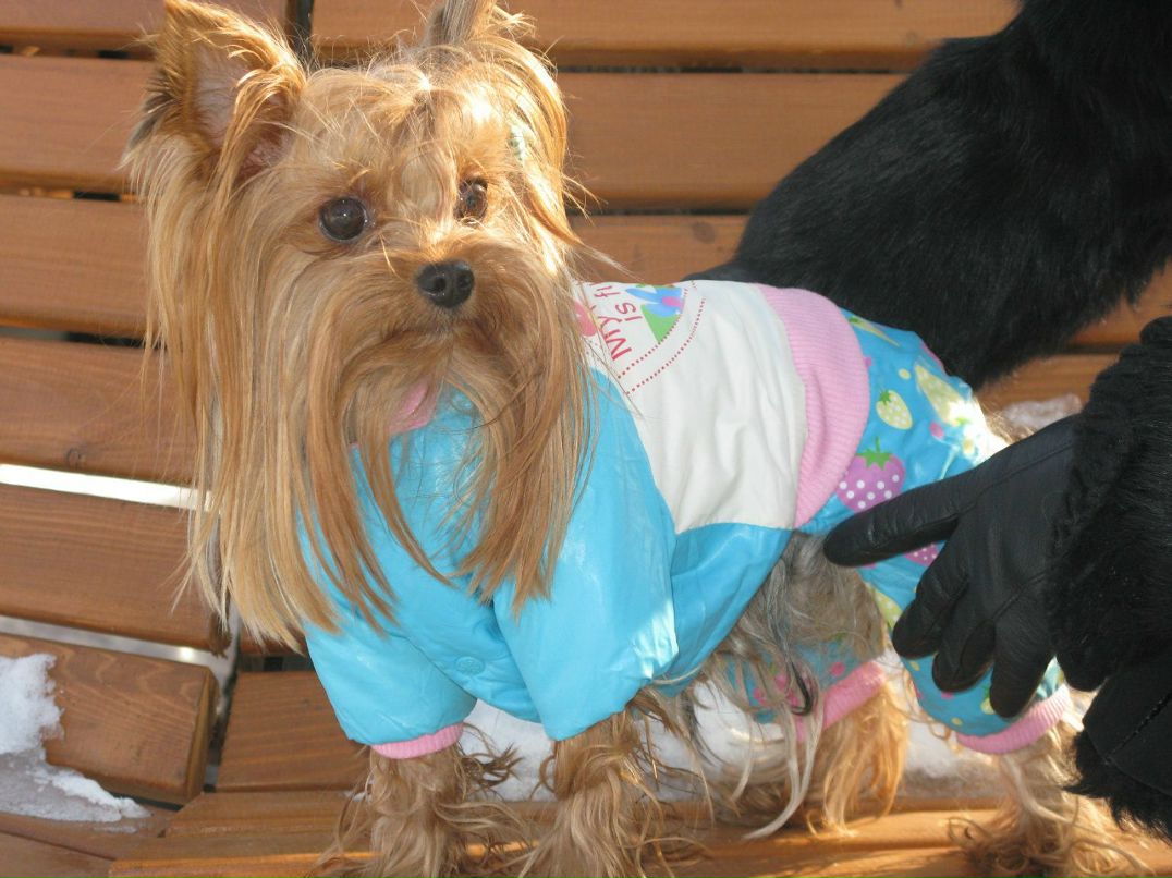 Виктория Финешина | Москва