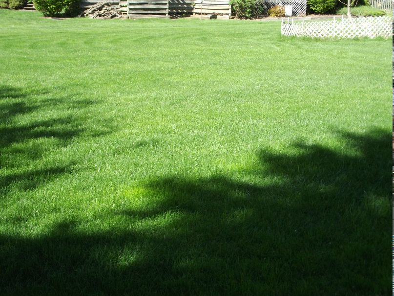 Сергей Иванов | Granger