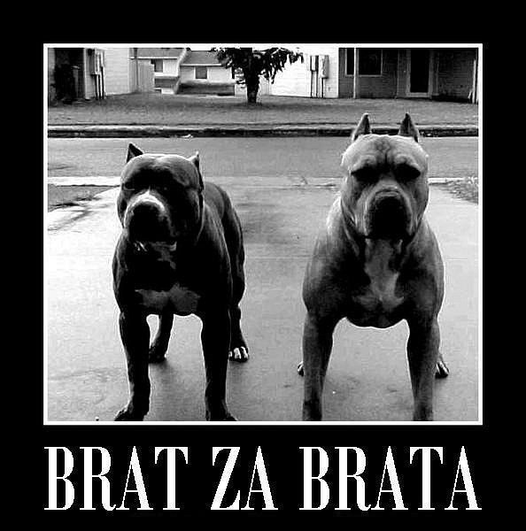 Андрей Сотников ˙·٠•●๑۩ஐ۩๑. $-БАХ-$ .๑۩ஐ۩๑●• | Новосибирск