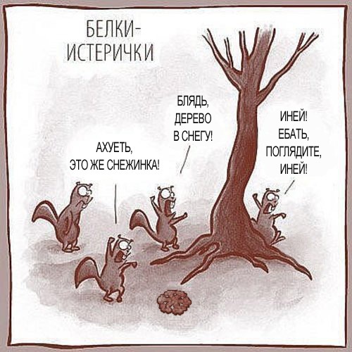 №77, Нелля Ядовитая, 35 лет, Москва №77, Нелля Ядовитая, 35 лет, Москва