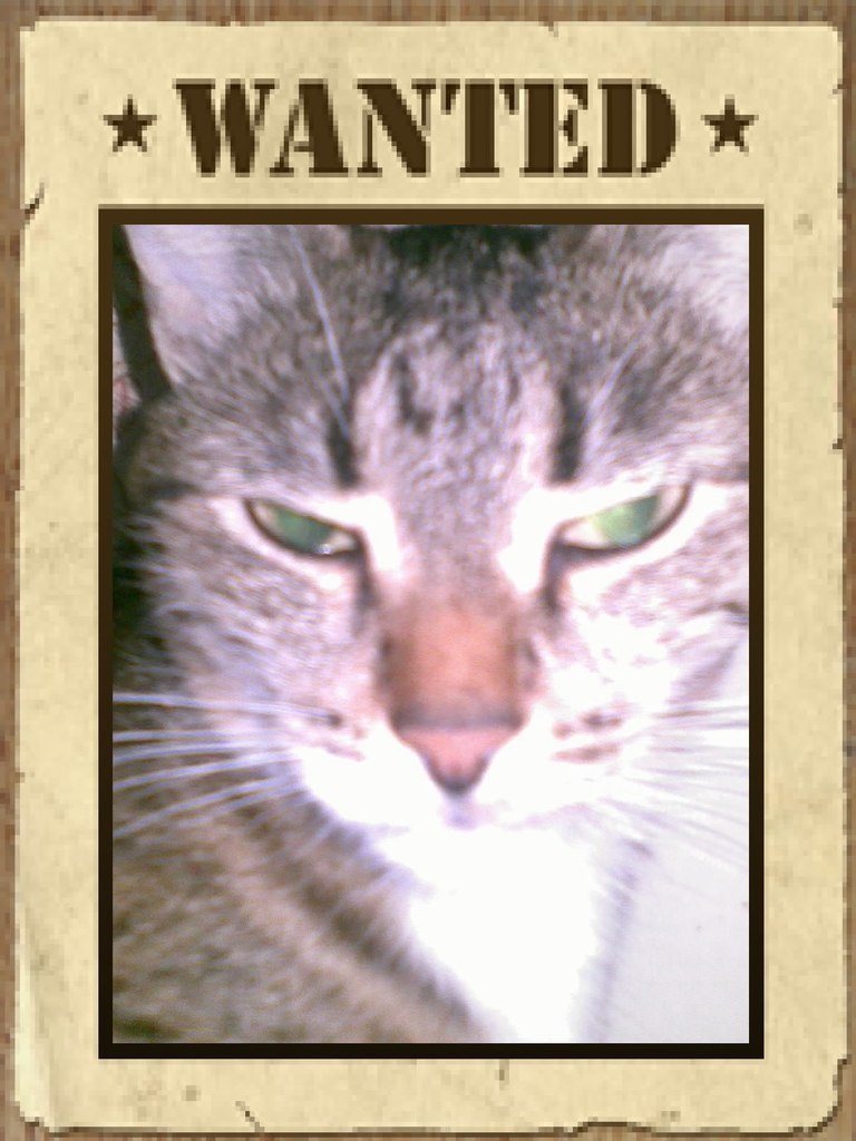 Наталья Фомина | Ульяновск