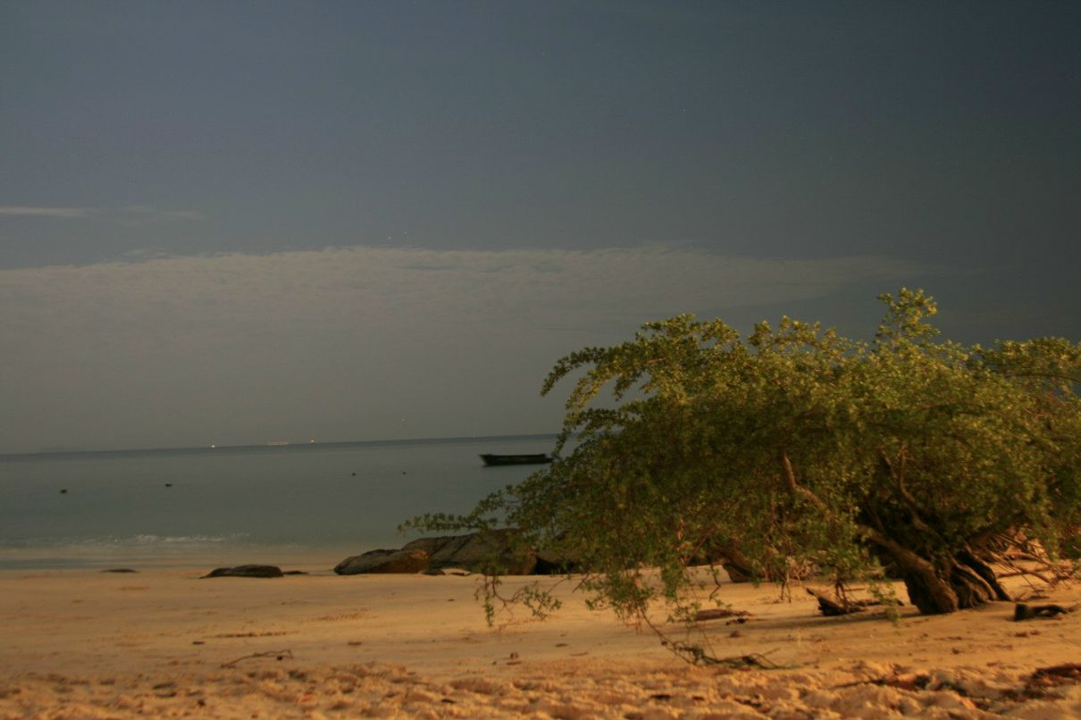 Вероника Ильинская | Москва