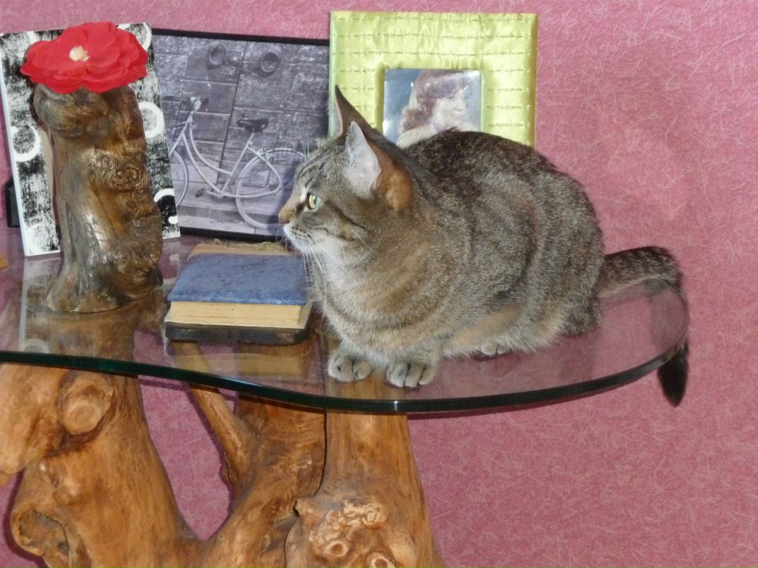 Екатерина Тарасова-Ершова | Ярославль