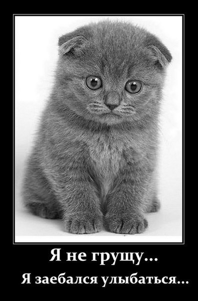 Сергей Фёдоров | Локня