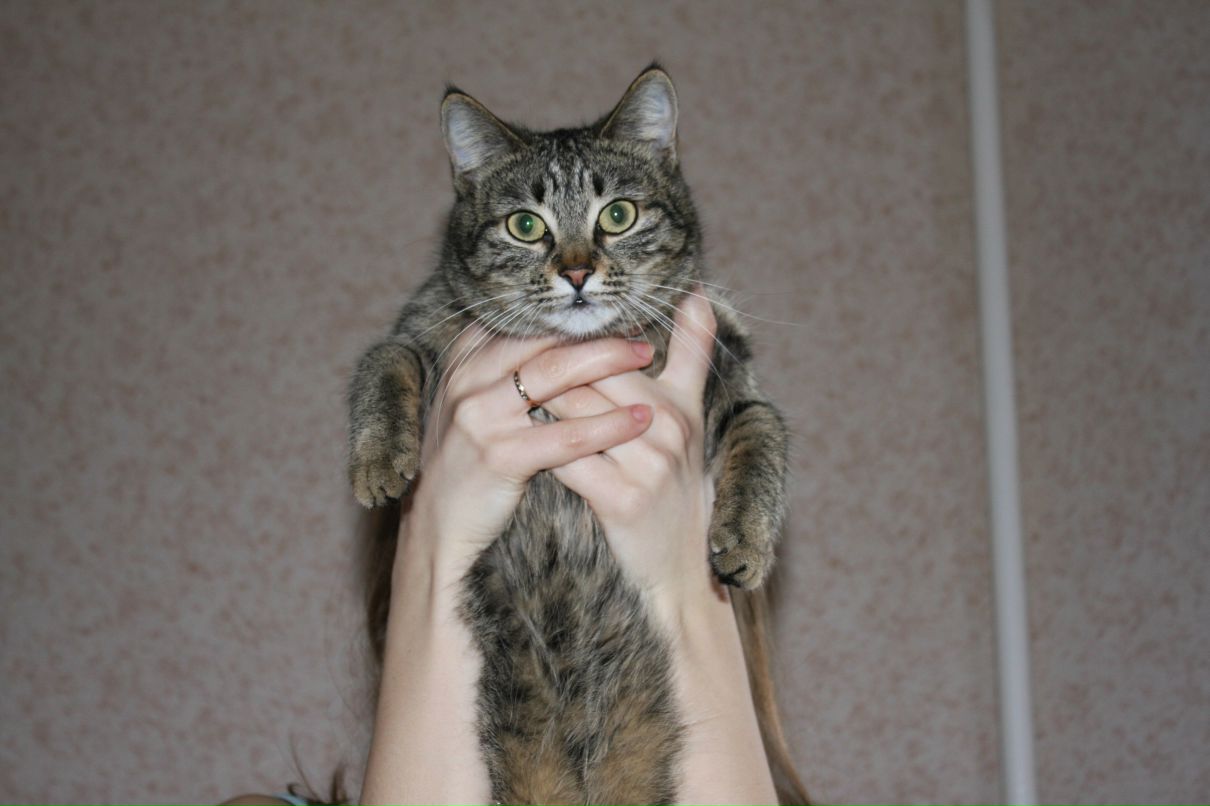 Светлана Скляднева | Ростов-на-Дону