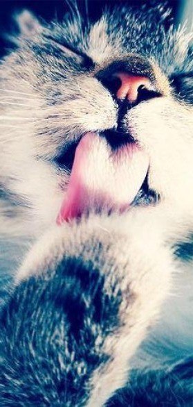 Valera Potapov | Москва