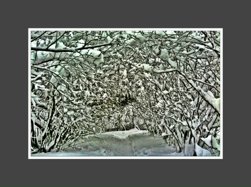 Сергей Петров | Киев