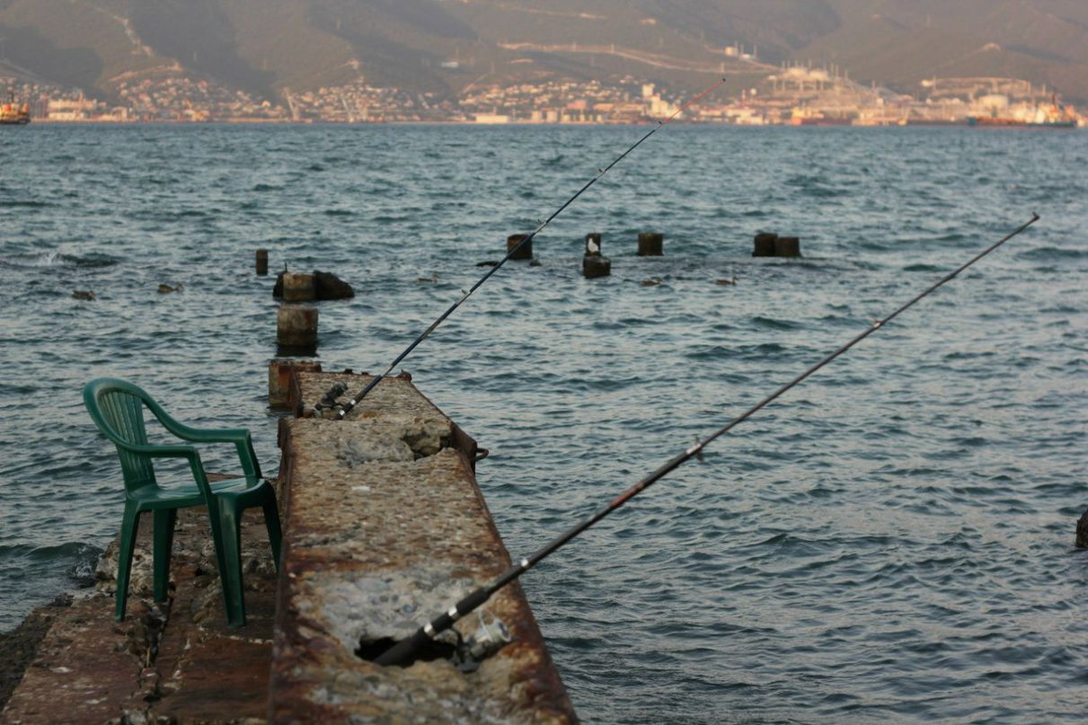 Александра Амельченко | Краснодар