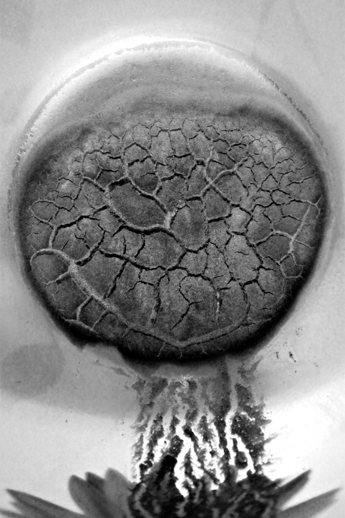 Евгений Луб 