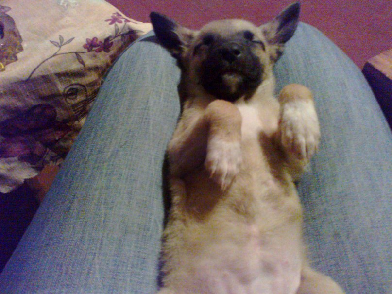 Оксана Завизион | Каменское / Днепродзержинск