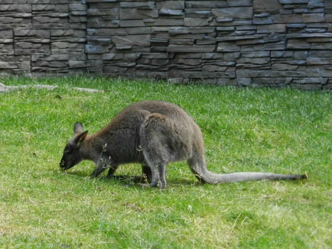 Дмитрий Киселёв | Новосибирск