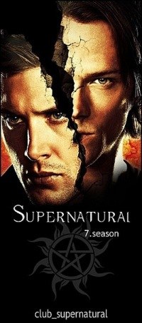 Александр Сокольник | Санкт-Петербург