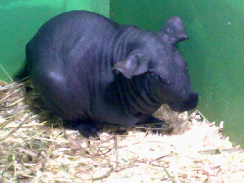 №104, Екатерина Ходжаева, Зеленоград №104, Екатерина Ходжаева, Зеленоград