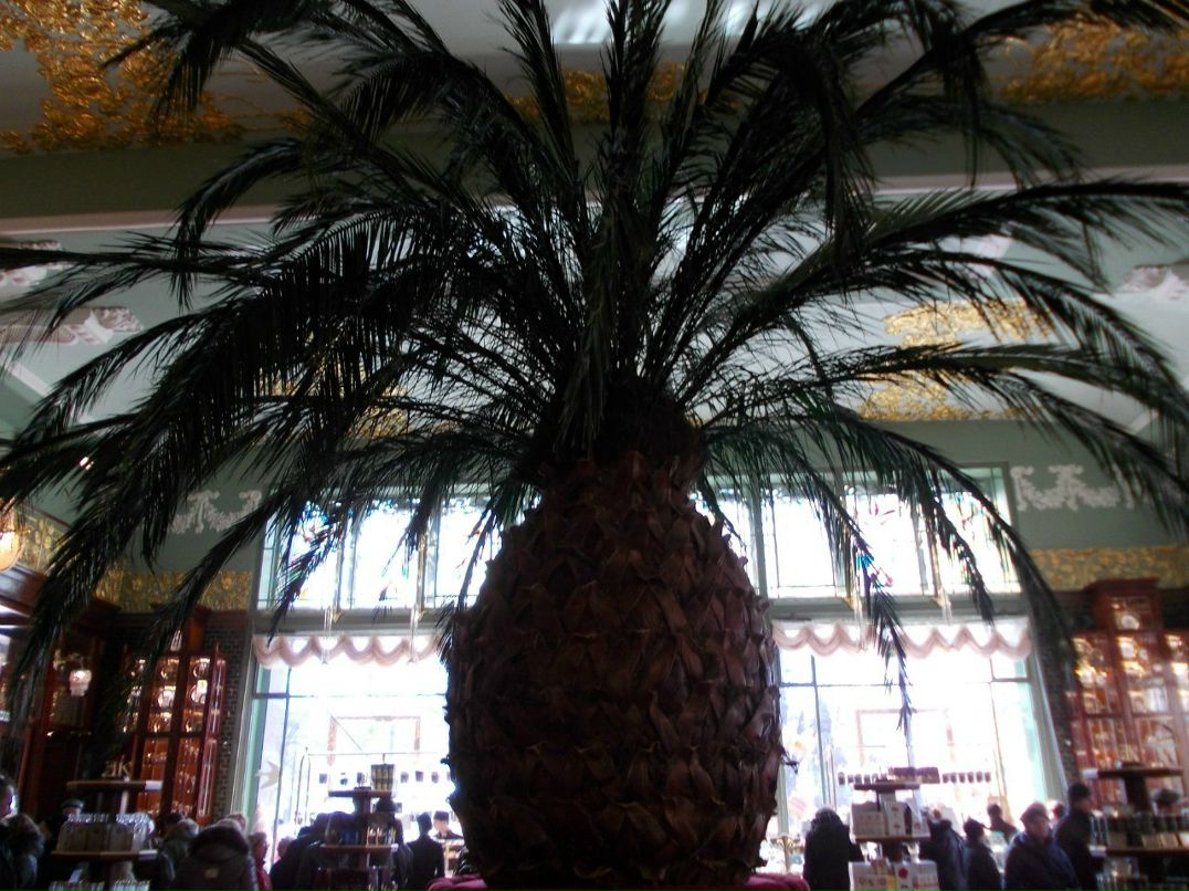 Юляша Роменская злобная киска | Санкт-Петербург