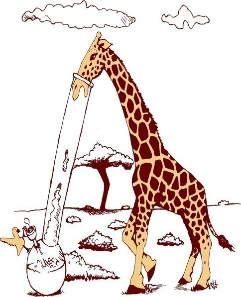 Денис Самуляк ڰ | Киев