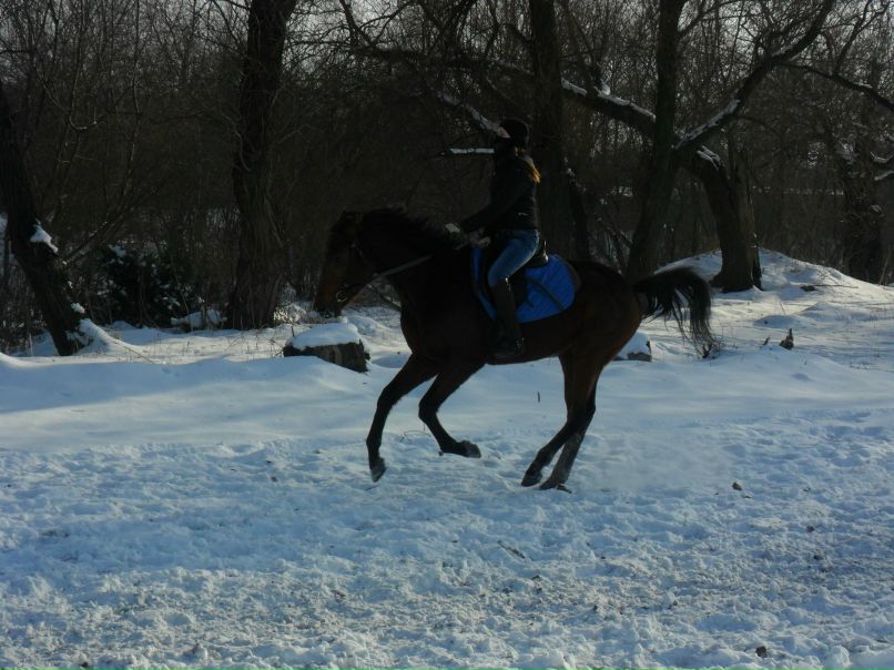 Кристина Терская | 