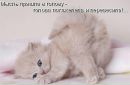 Фотография Ксения Коломоец