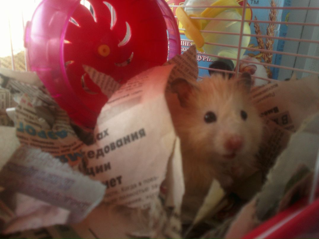 Олеся Гапоненко | Мариуполь