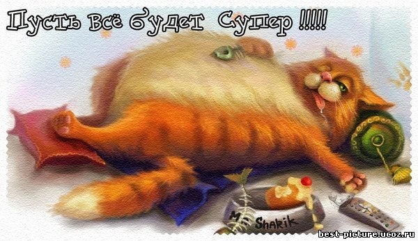 №3, Марсик Астроном №3, Марсик Астроном