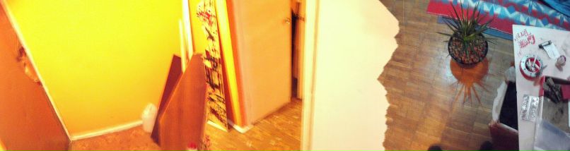 Вова Морозов WS | Habana