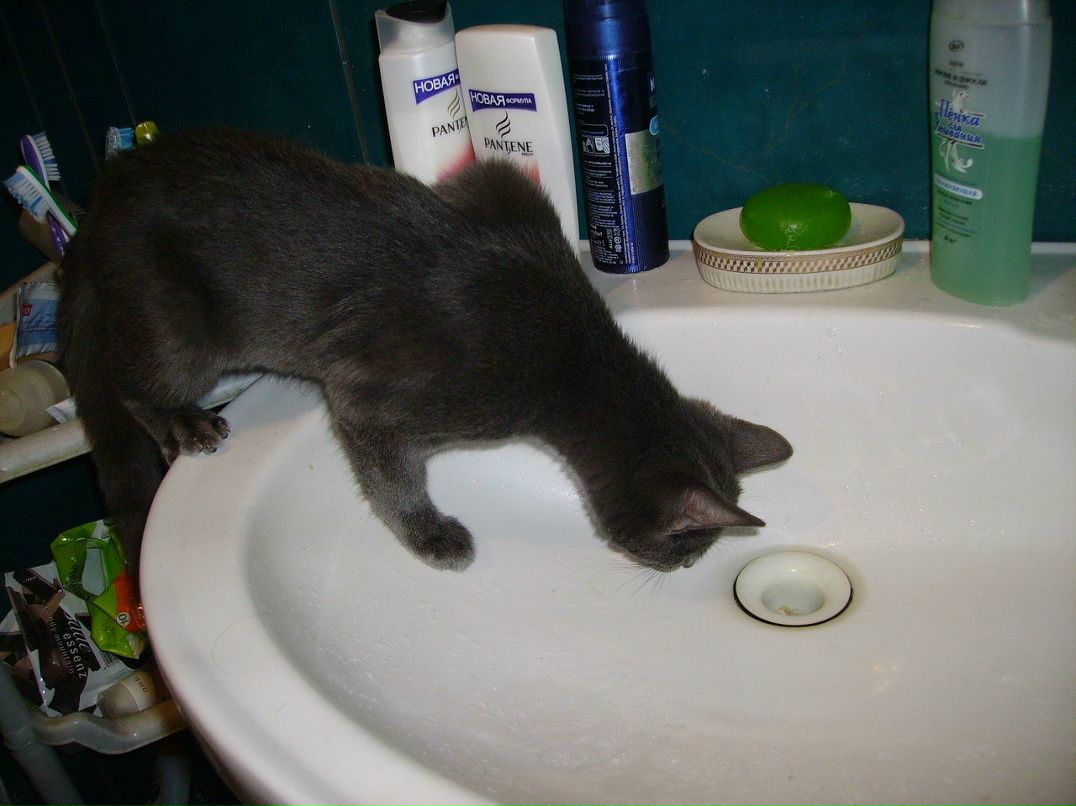 Вадим Братченко | Тюмень