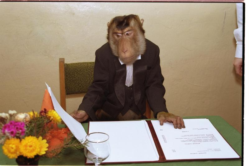 Сергей Милацкий | 