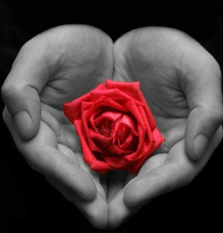 №166, Снежана Андреева, Одесса №166, Снежана Андреева, Одесса