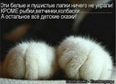 Фотография Роман Крутиков