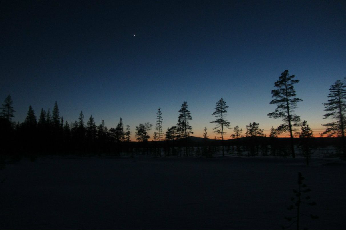 Арсений Петрик | Харьков