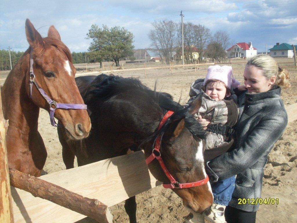 Диана Шумская | Брест