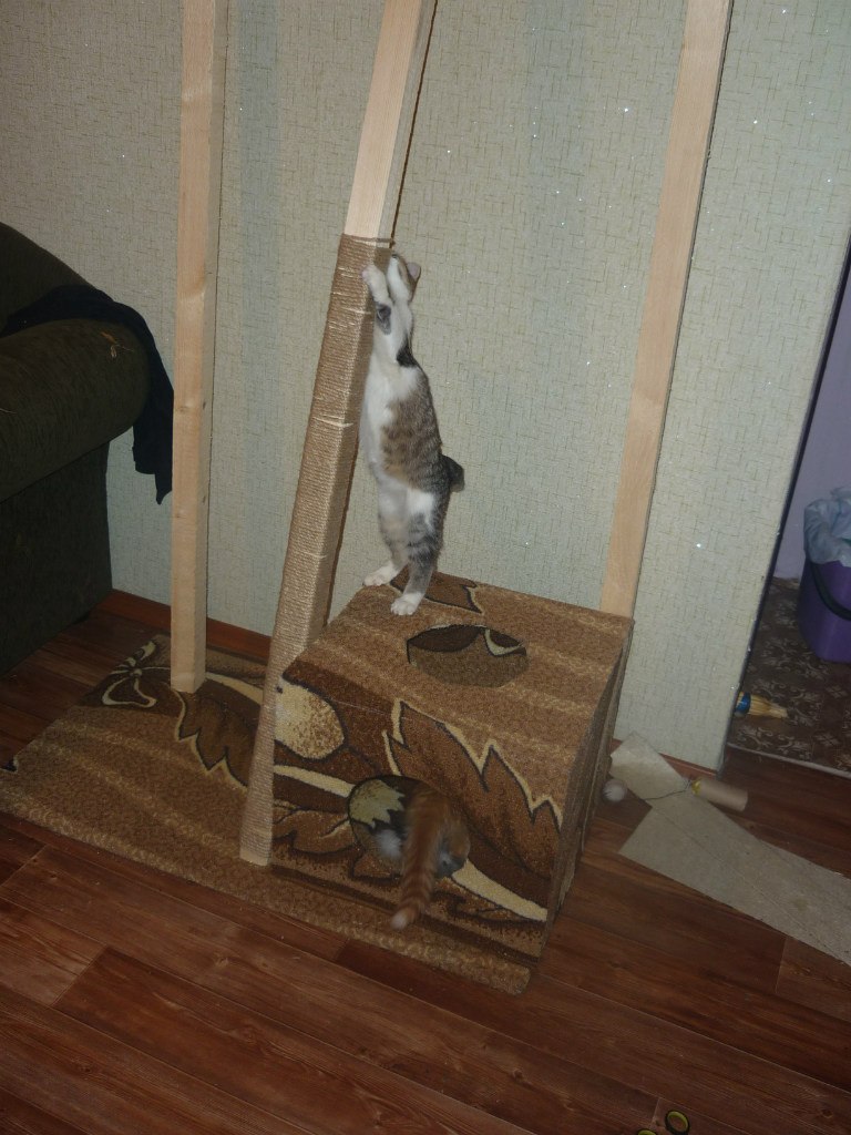 Sasha Budnikov | Сосногорск