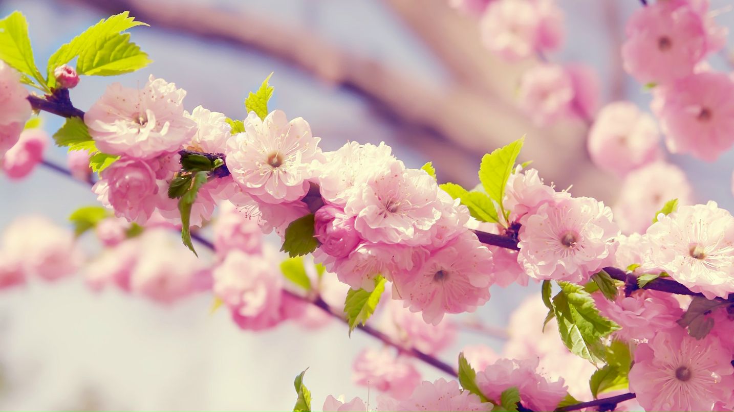 Яна Кирдяйкина | Алматы