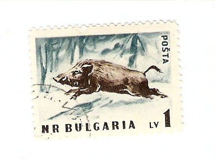 Жека Карпичев | Череповец