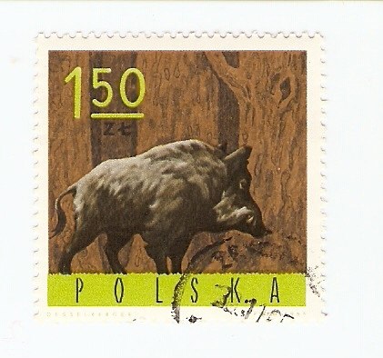 Жека Карпичев | Череповец