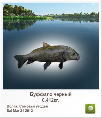 Сергей Деничев | Тюмень