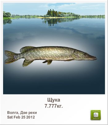 Вася Пупкин | Чебоксары